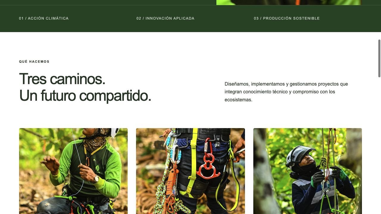 Agrofordin · Primera sección interior